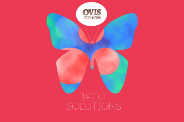 Ovis Solutions