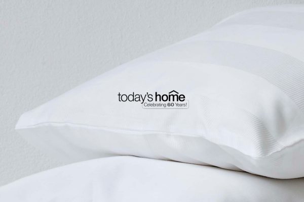 Todayʼs Home, TH Trade & DFO