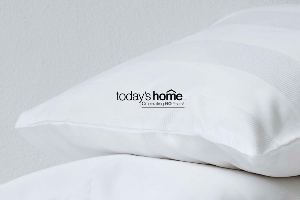 Todayʼs Home, TH Trade & DFO